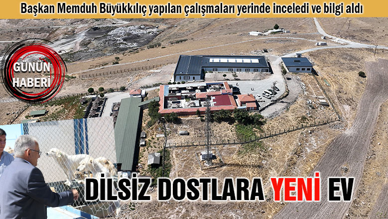 Büyükkılıç: İkinci hayvan barınağını hayata geçiriyoruz Büyükkılıç: İkinci hayvan barınağını hayata geçiriyoruz