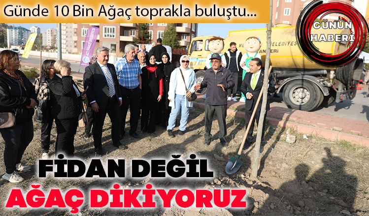Palancıoğlu: Fidan değil, ağaç dikiyoruz! Palancıoğlu: Fidan değil, ağaç dikiyoruz!