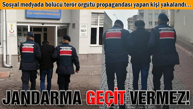 Jandarma terör yancılarına da nefes aldırmıyor