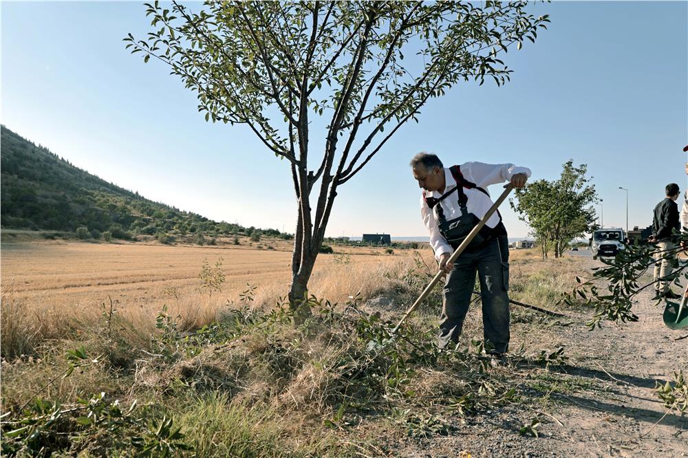 Talas'ın bahçıvan başkanı