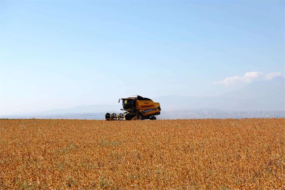 Başkan Çolakbayrakdar, Başkan Çolakbayrakdar,