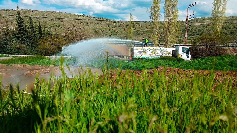Talas'ta haşereyle 
