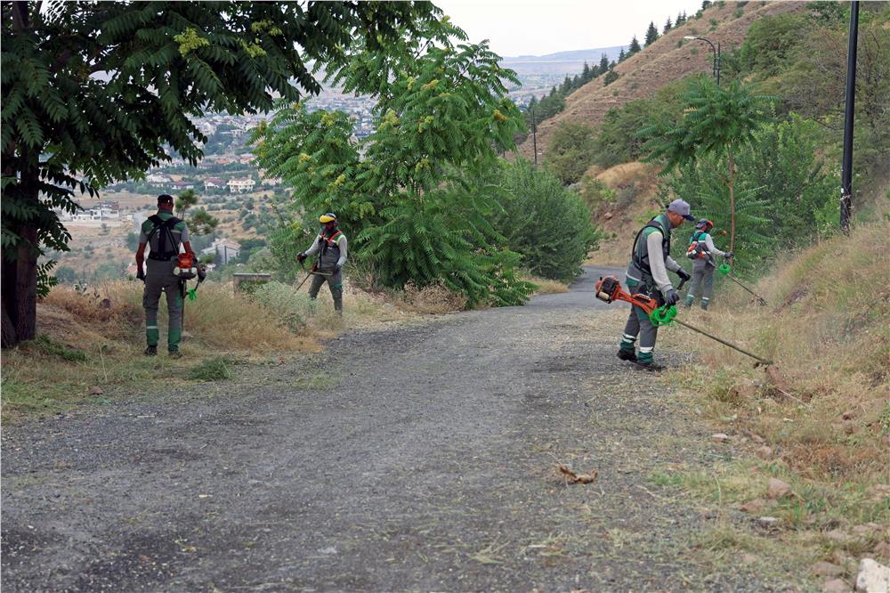 Ali Dağı'nda yangına karşı üst düzey önlem