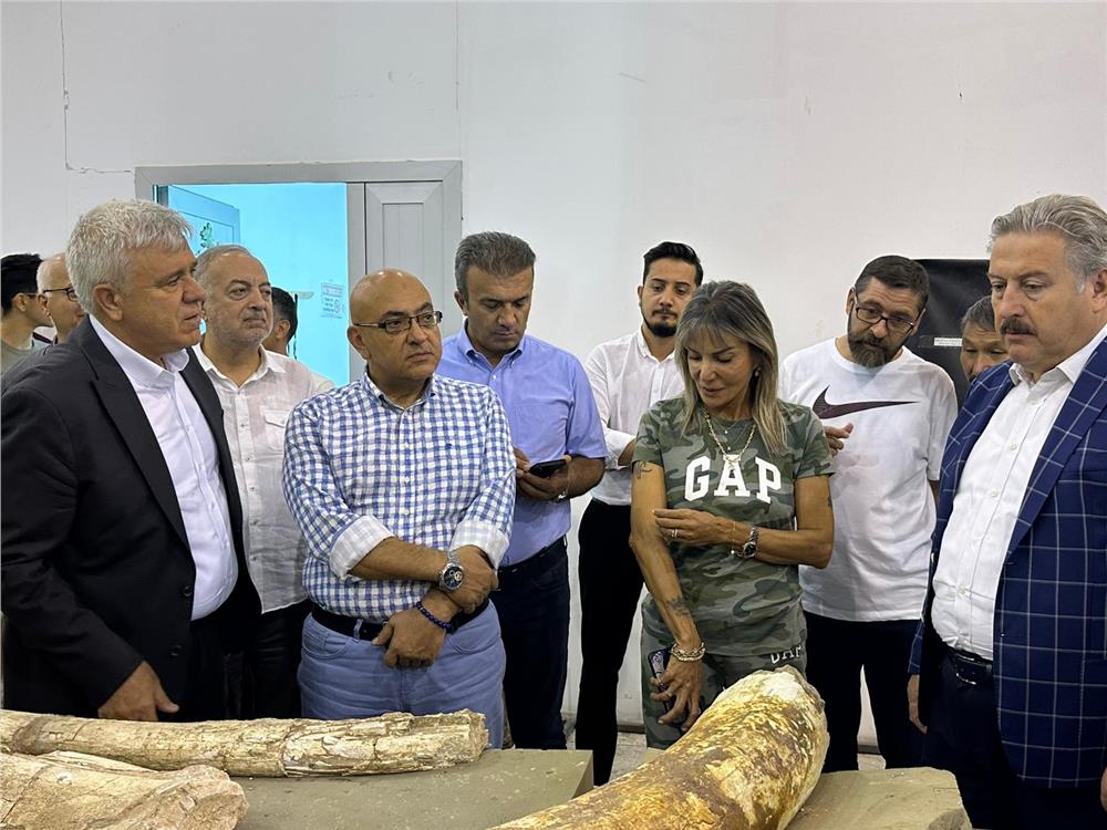 Kayseri Kent Konseyi 7,5 milyon yıllık fosil çalışmaları sunumu yaptı