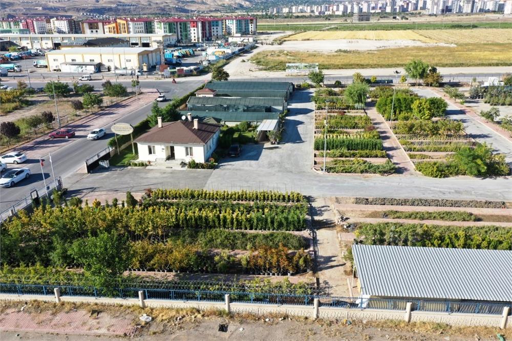 Kayseri'nin yeşil geleceği Kocasinan'da hayat buluyor