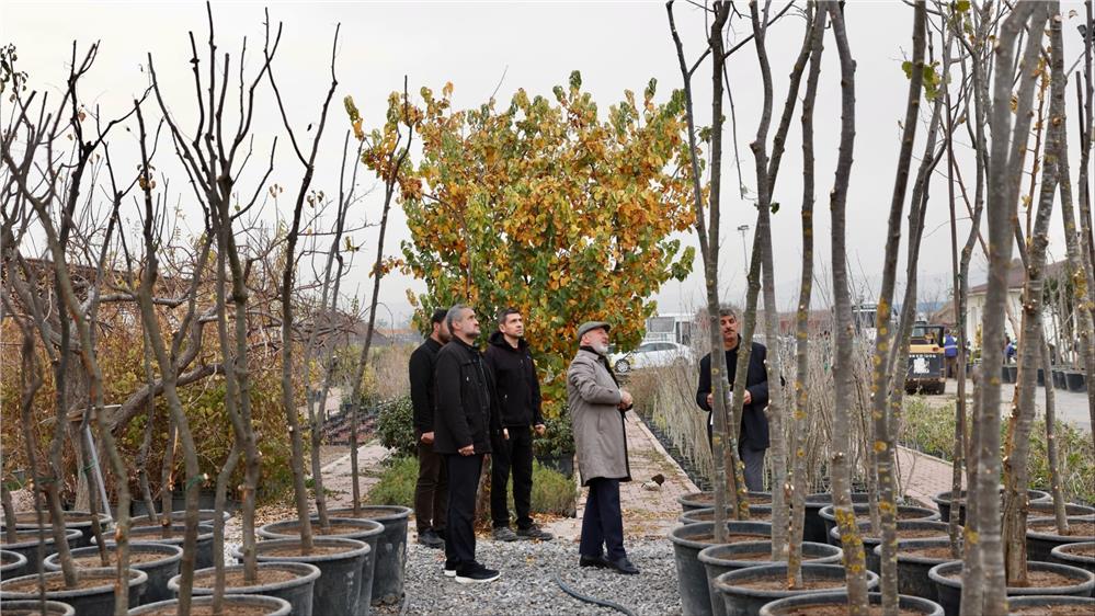 Çolakbayrakdar: Kayseri'yi yeşilin başkenti yapacağız