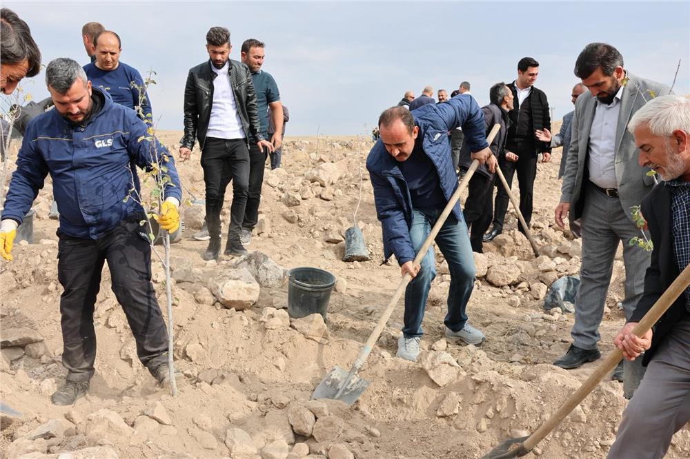 İncesu'da badem ve ayva ağaçları toprakla buluştu