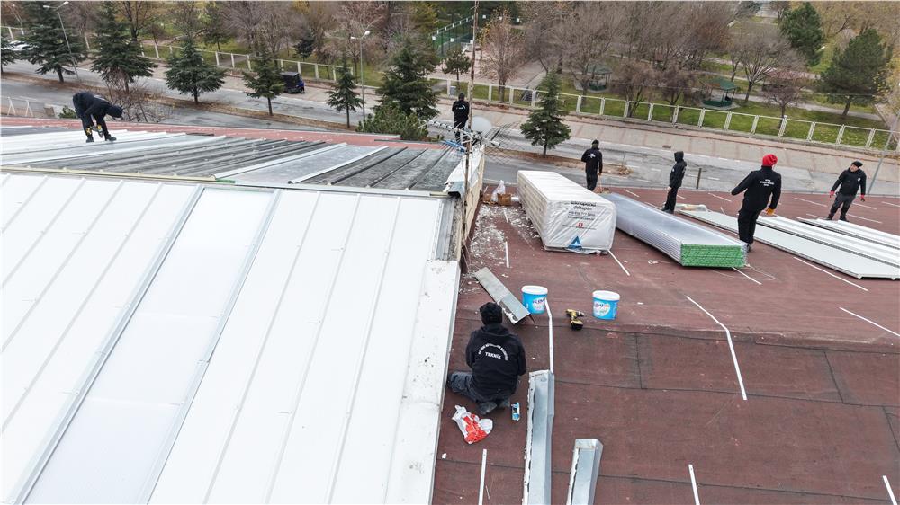 Kayseri'deki ulu çınarların sıcak yuvası yenileniyor