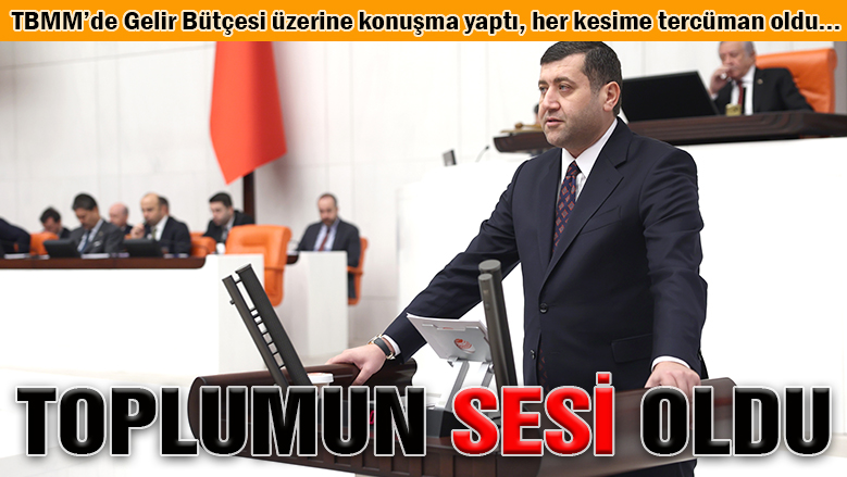 MHP'li Ersoy, toplumun her kesiminin sesi oldu