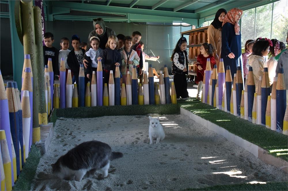 Küçük Dostlar Kedi Kasabası rekor üstüne rekor kırıyor