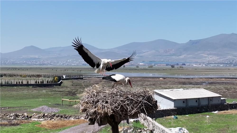 Doğanın uyanışı, Hürmetçi Sazlığı