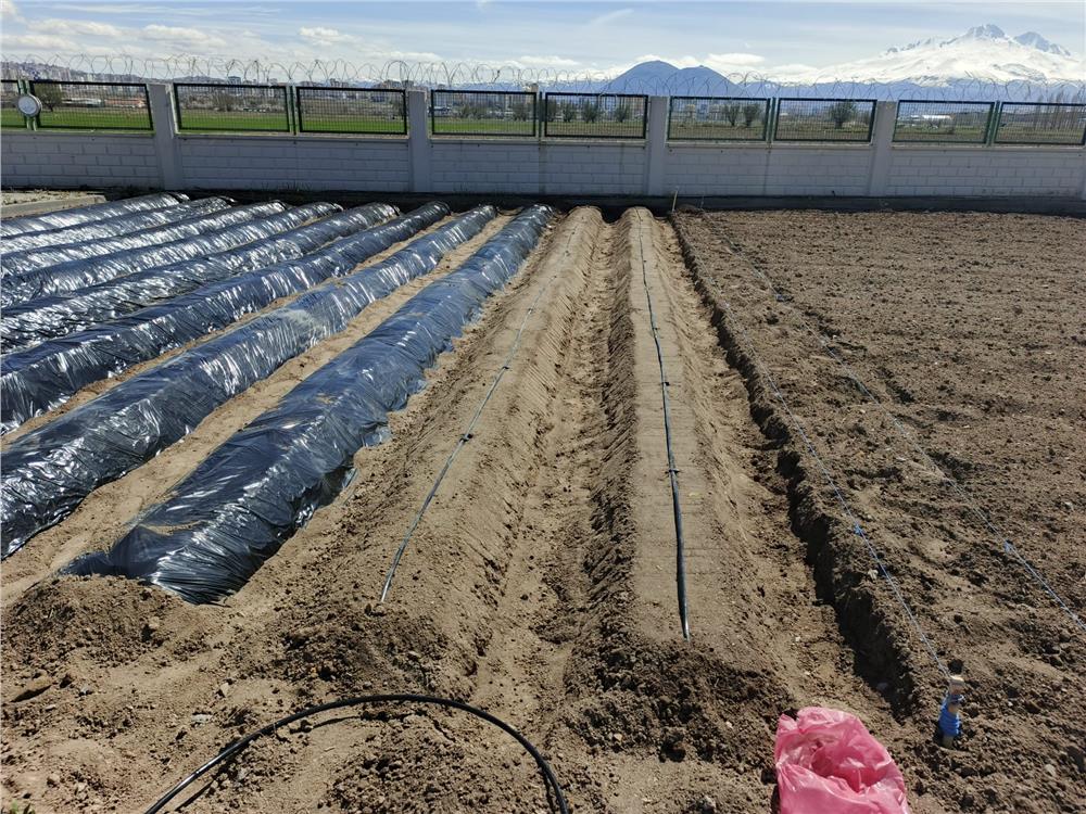 Kayseri'nin Doğal Ürünler Bahçesi'nde yeni sezon hazırlığı