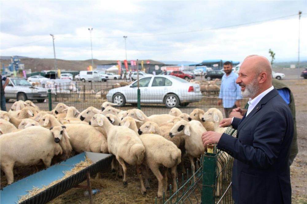 Kocasinan Belediyesi kurban için ihale sürecini başlattı