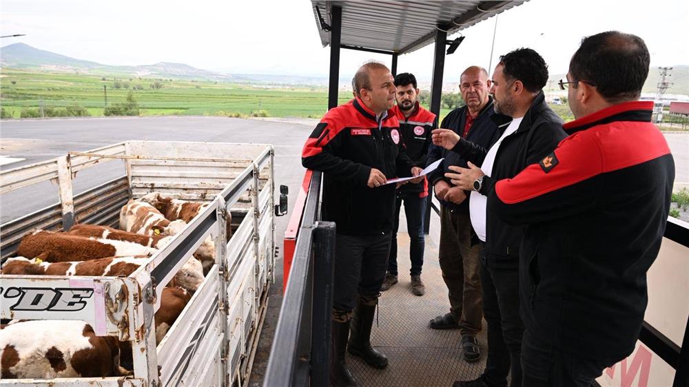 Kayseri'de bayram öncesi hayvan sevklerine sıkı denetim