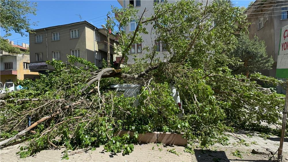 Kayseri’de dut ağacı minibüsün üzerine devrildi