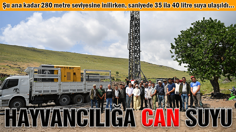Başkan Büyükkılıç'tan hayvancılığa can suyu