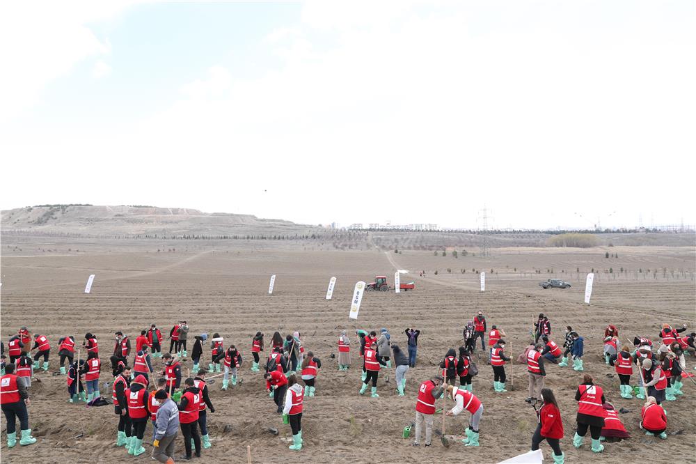 Türk Kızılay 1,5 milyon bağışçı adına 4,7 milyon fidan dikti
