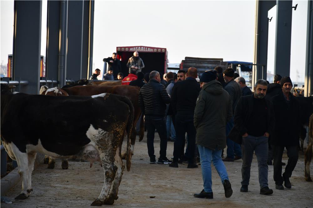 Bağlamış: Kayseri artık tarım ve hayvancılığın öncü şehridir