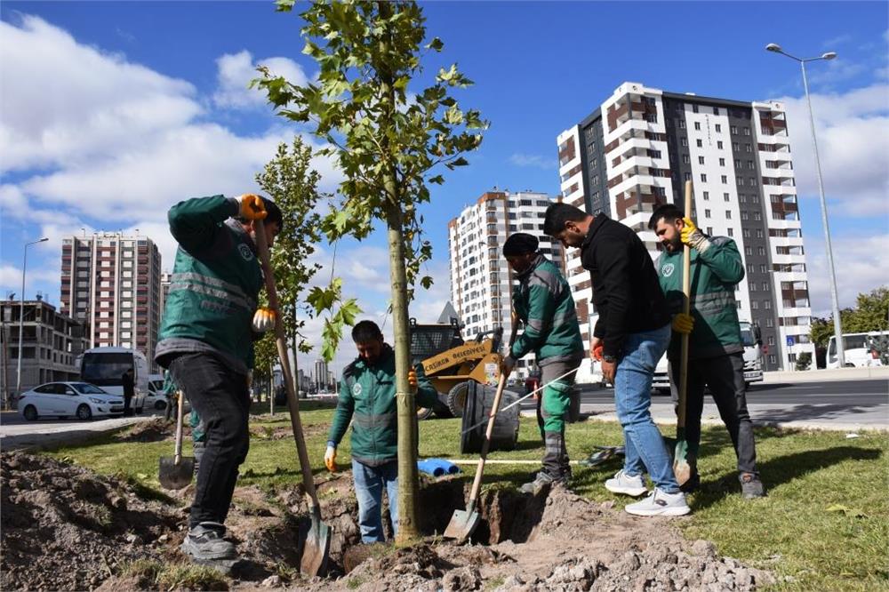 Kocasinan Belediyesi on binlerce ağaç ve fidanı toprakla buluşturuyor